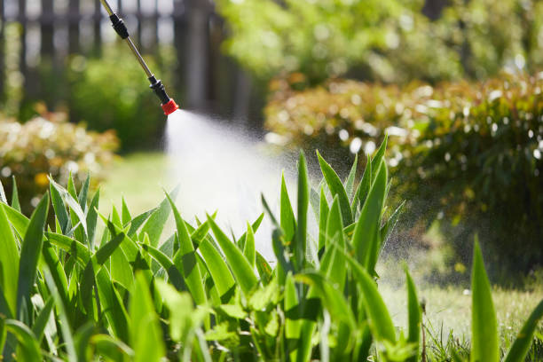 24/7 Emergency Mosquito Control experts in Taft Southwest, TX