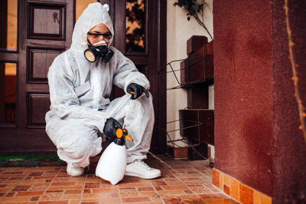 Reliable Mosquito Control contractor in Taft Southwest, TX by Show Me Pest Control